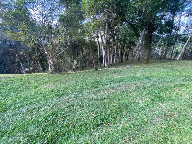 Abaixou 367 mil reais bom de Negocio 1145804938 - Foto 12