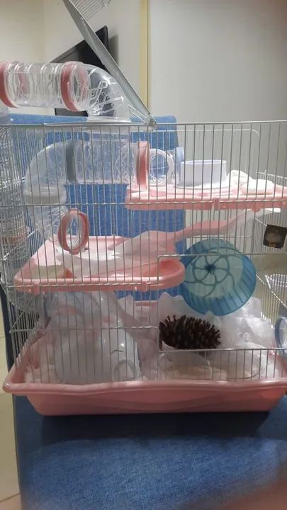 Gaiola para Roedores com Acessórios - Foto 4