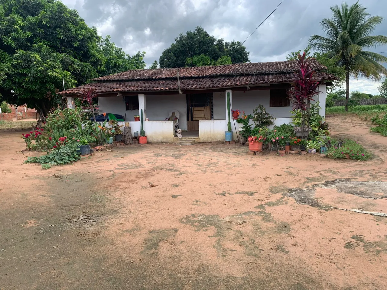 Casas localizadas no Sítio Graça próximo a Araripina-PE
