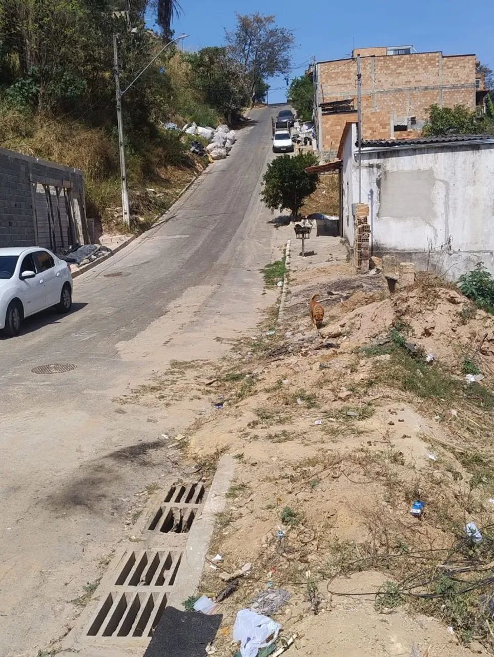 Lote 64728841916802123