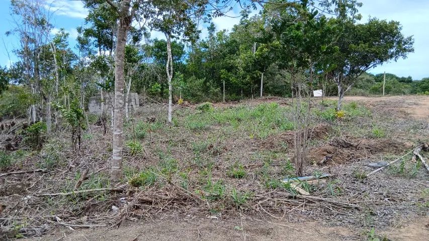 Terrenos em Porto Seguro Alto Mundaí - Foto 9
