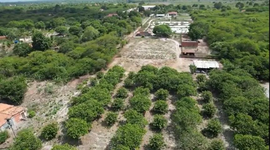 Excelente Sitio, Chácara a 50KM de Fortaleza .  - Foto 4