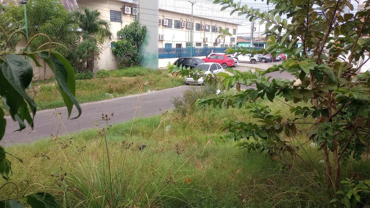 Foto - Manaus - Nova Cidade