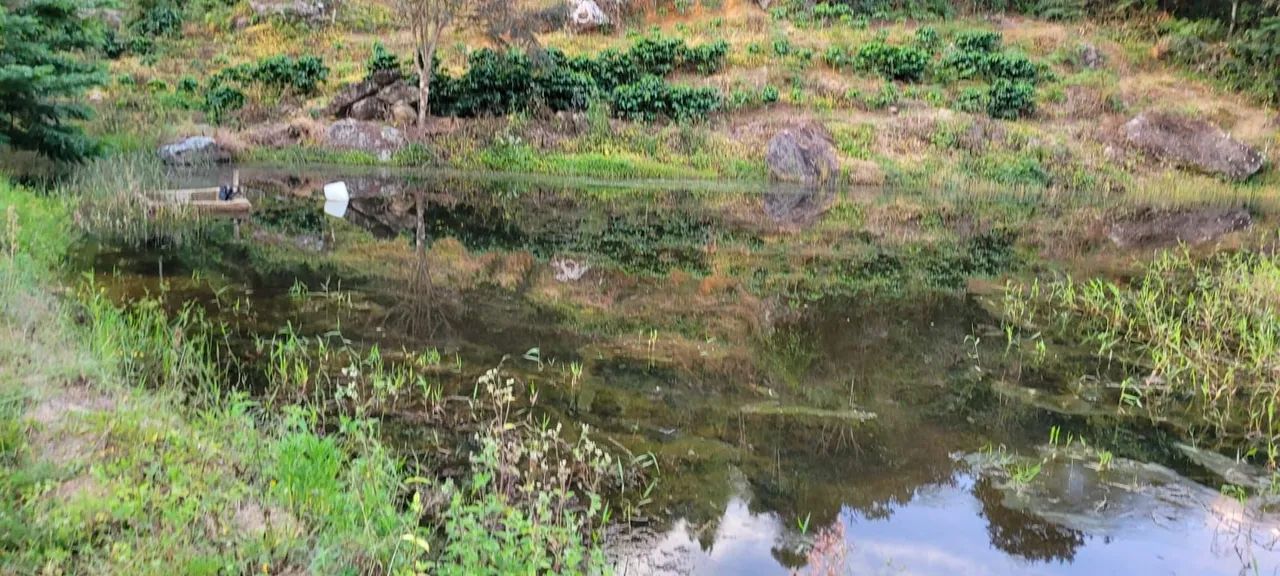 Sítio Produzindo Café - Escriturado - Domingos Martins ES