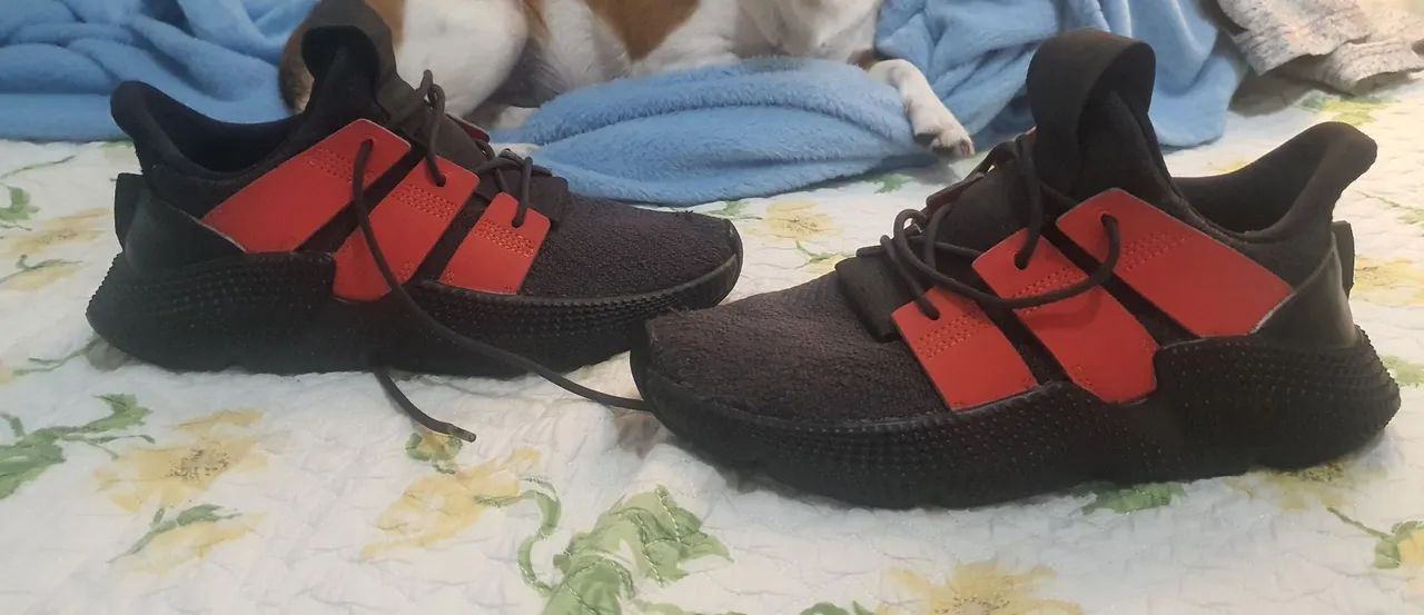 adidas prophere 39