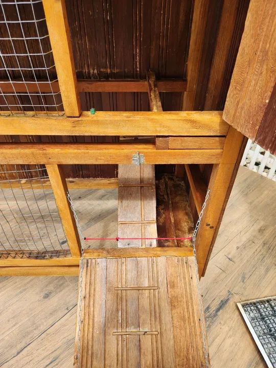 Viveiro para Coelhos e Chinchilas  - Foto 2