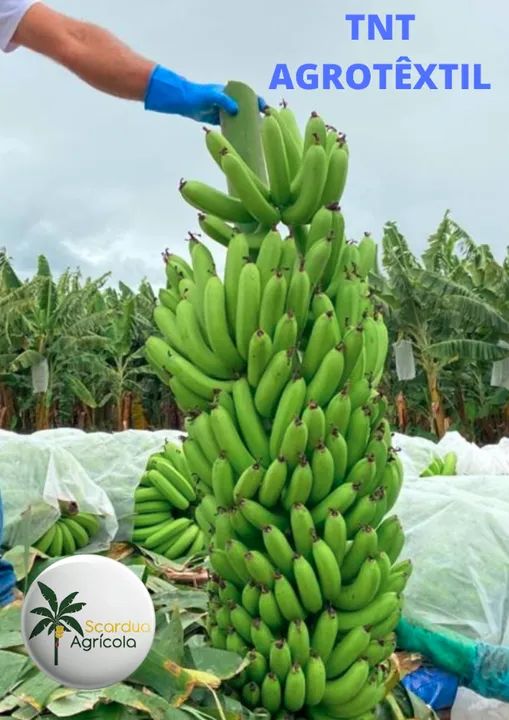 TNT- Agro têxtil - Foto 5