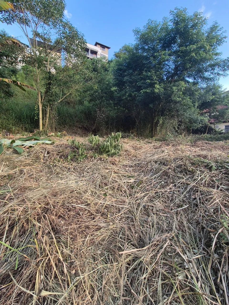 TERRENO PRÓXIMO AO CENTRO  - Foto 4