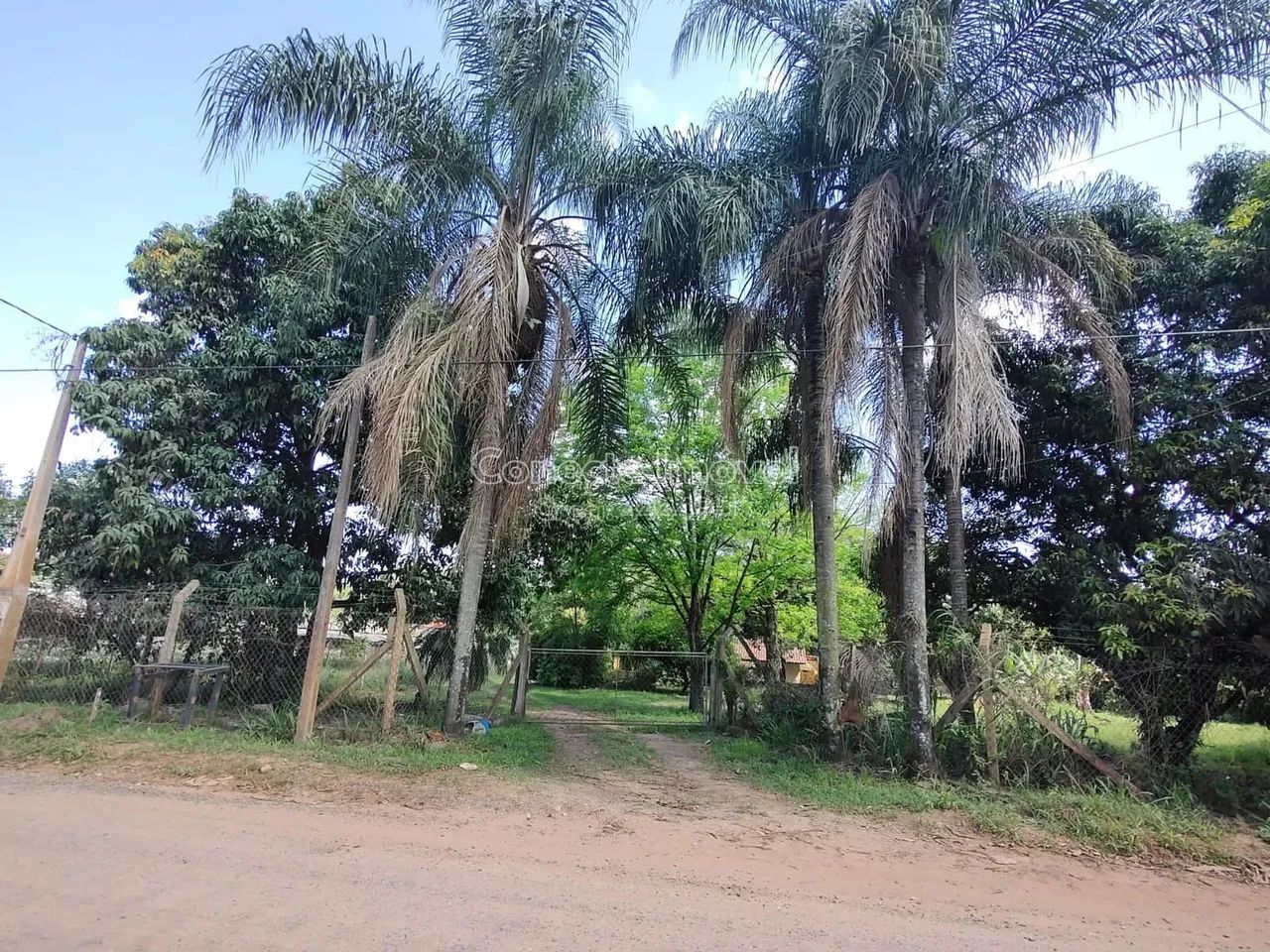 Sítio com lago no fundo, barracão e estufas à venda na Borda da Mata em Holambra/SP - Foto 4