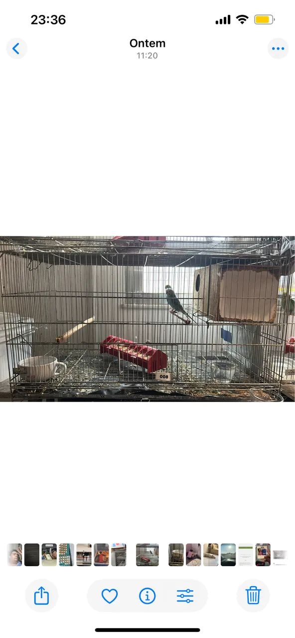 Gaiola criadeira  - Foto 2