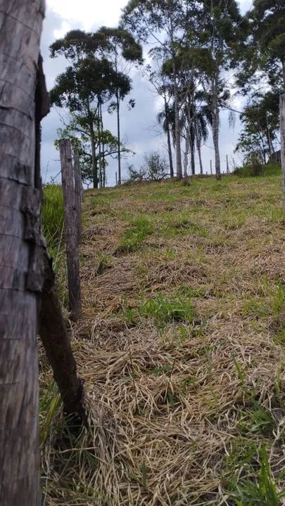 Terreno Patrimônio da Penha (Caparaó Capixaba) - Foto 4
