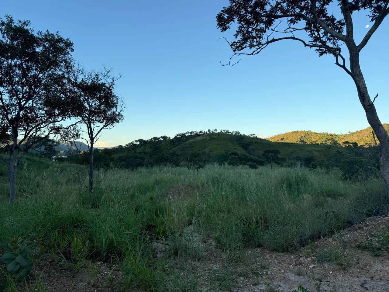 Vendo sítio de 24 alqueiros rico em água a apenas 18km da cidade de Minaçu Go - Foto 2
