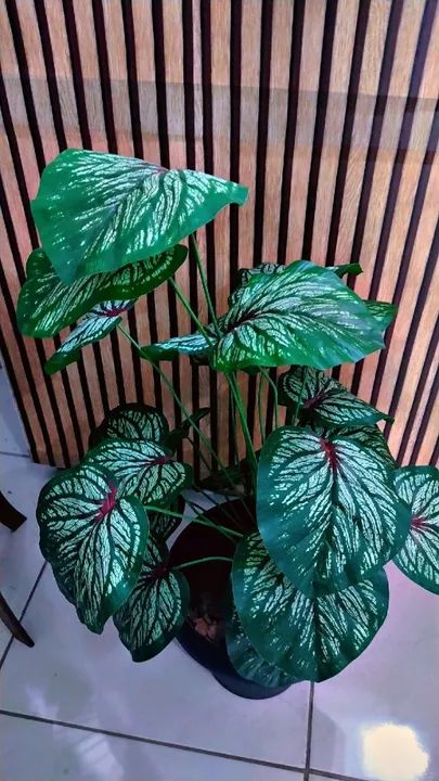 Planta giboia artificial Nova completa 99 reais 