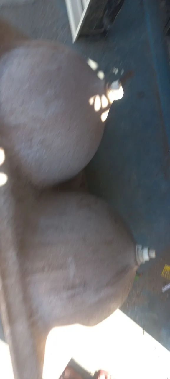 Vendo tanque duplo - Foto 2