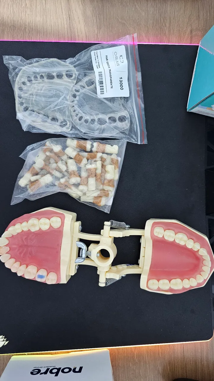 Manequin Modelo de Dentes para Treinamento Odontológico