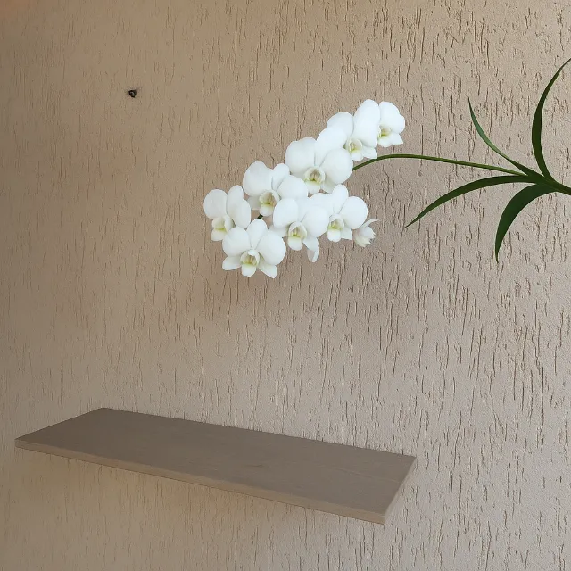 Prateleira MDF 80x25 cor cru