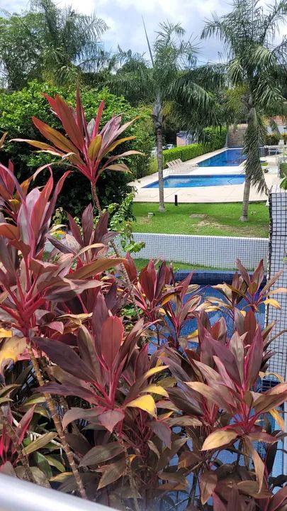 Ilha Bella apto vista p/Rio - Ponta Negra - Foto 3