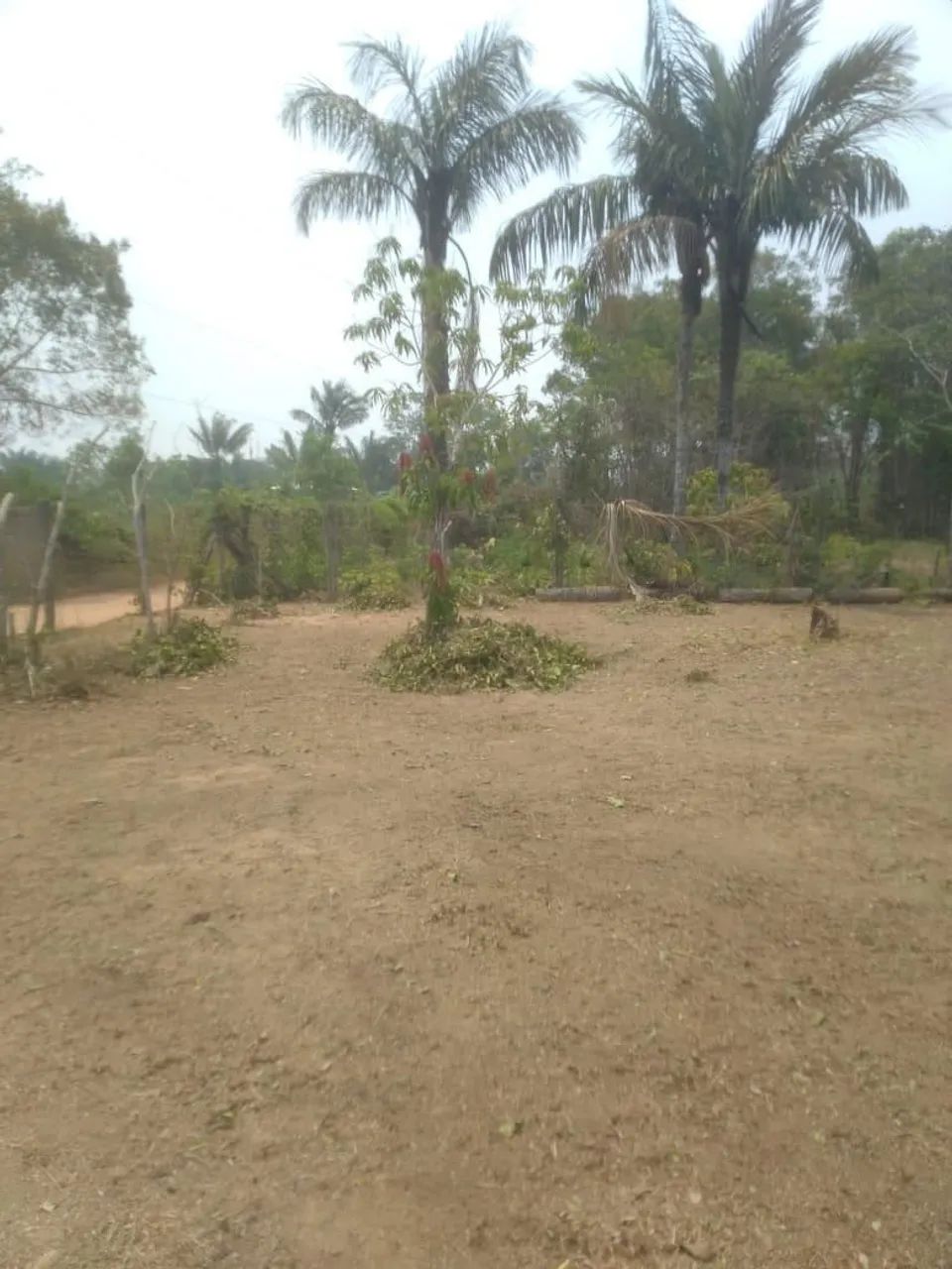 Terreno em área verde com árvores - Foto 3