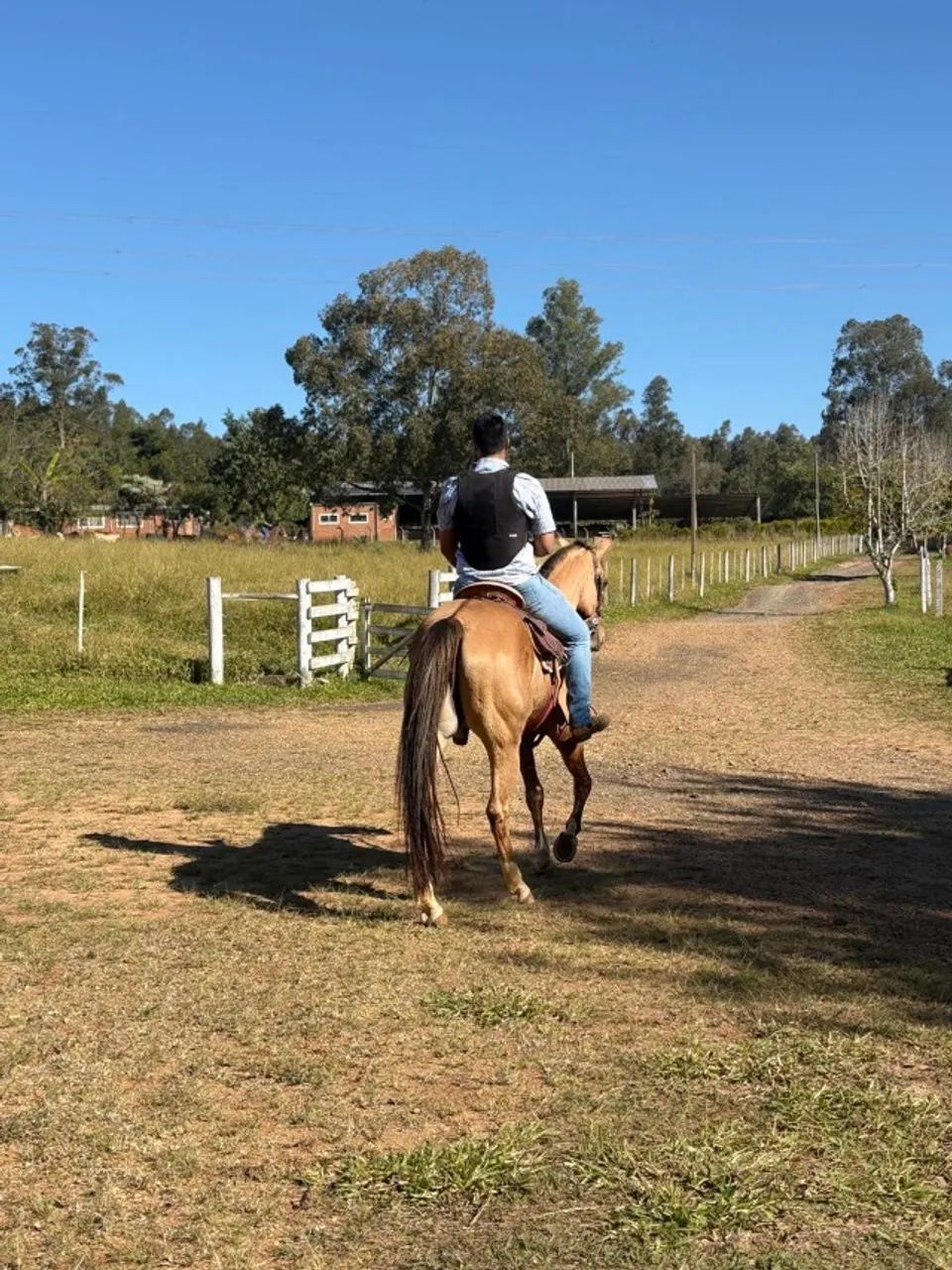 Égua  - Foto 5