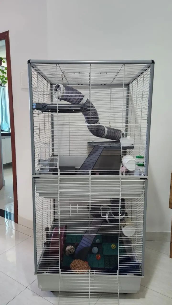 Gaiola Furet Tower Ferplast de 2 andares (para furão, rato twister)