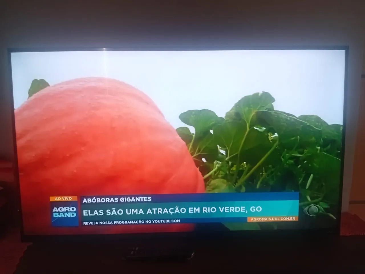 Vendo tv ROKU 43 plg - Foto 2