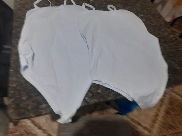 2 Bores brancos lindos - Foto 2