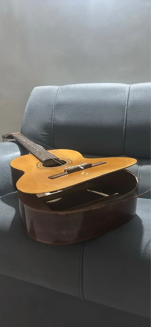 Violão Giannini