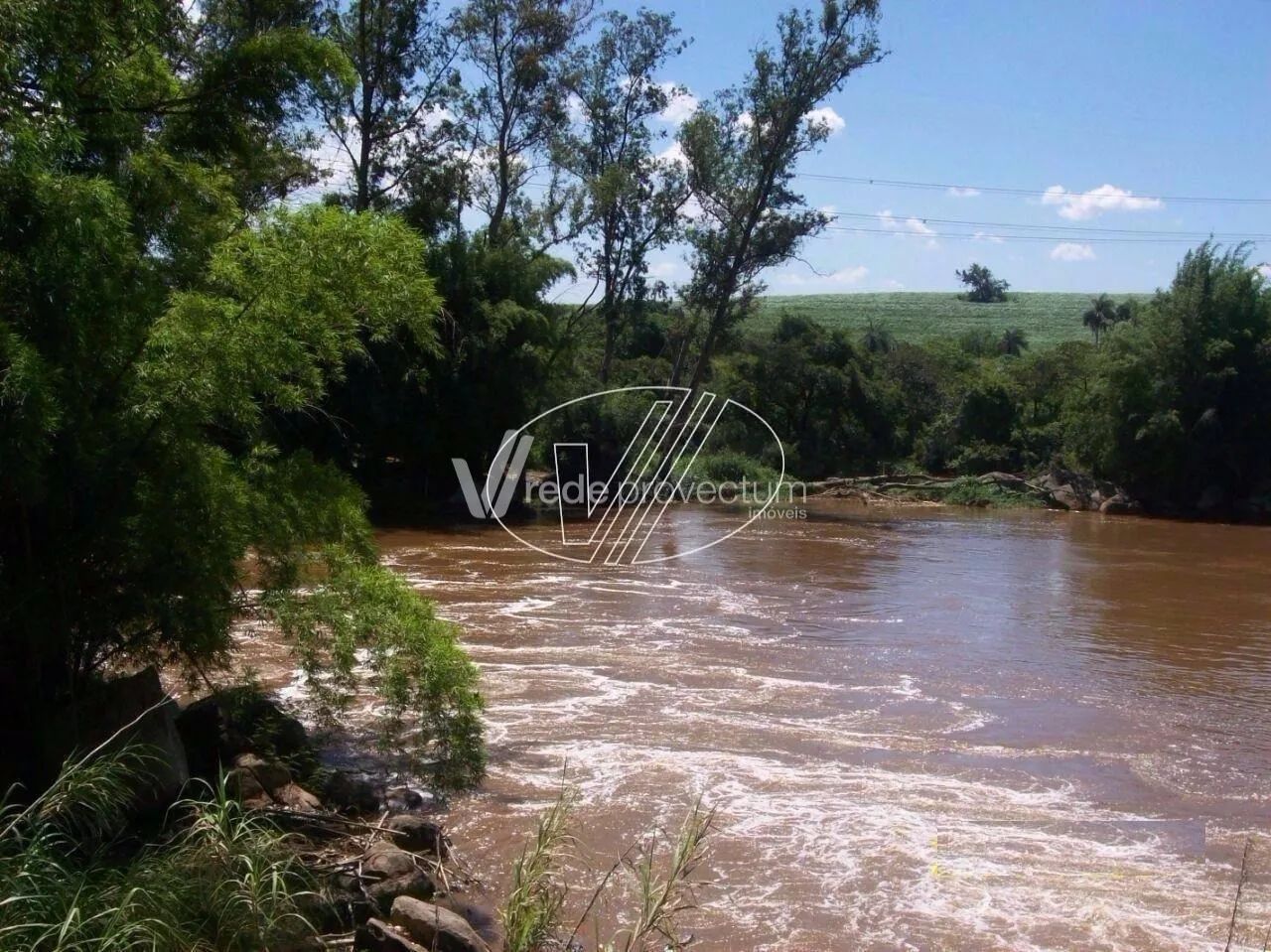 sítio - Jardim Carlos Gomes - Campinas - Foto 5