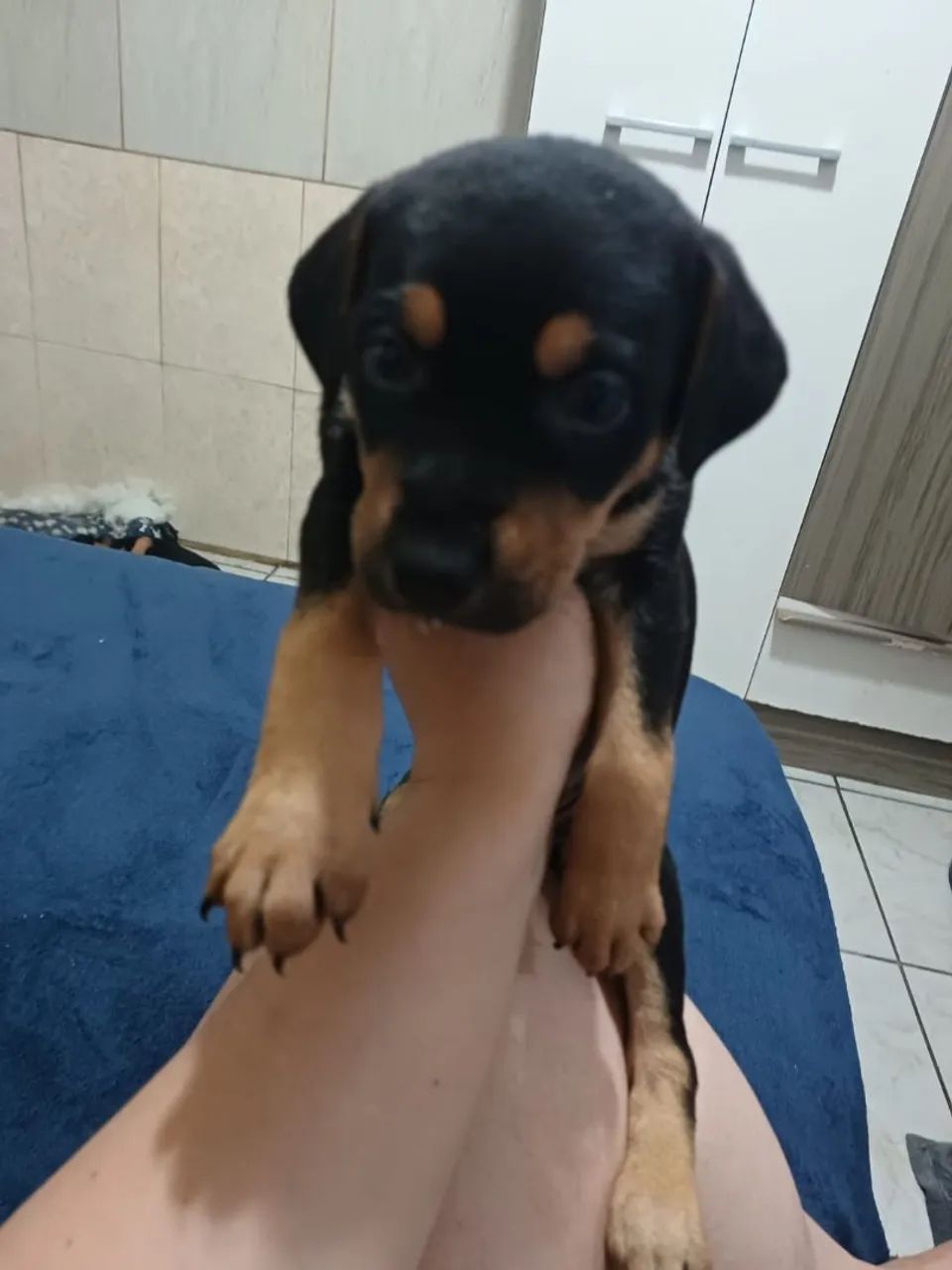 Doação - Foto 2