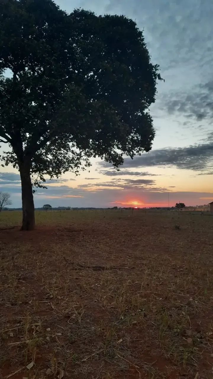 -Chácara em condomínio - Foto 3