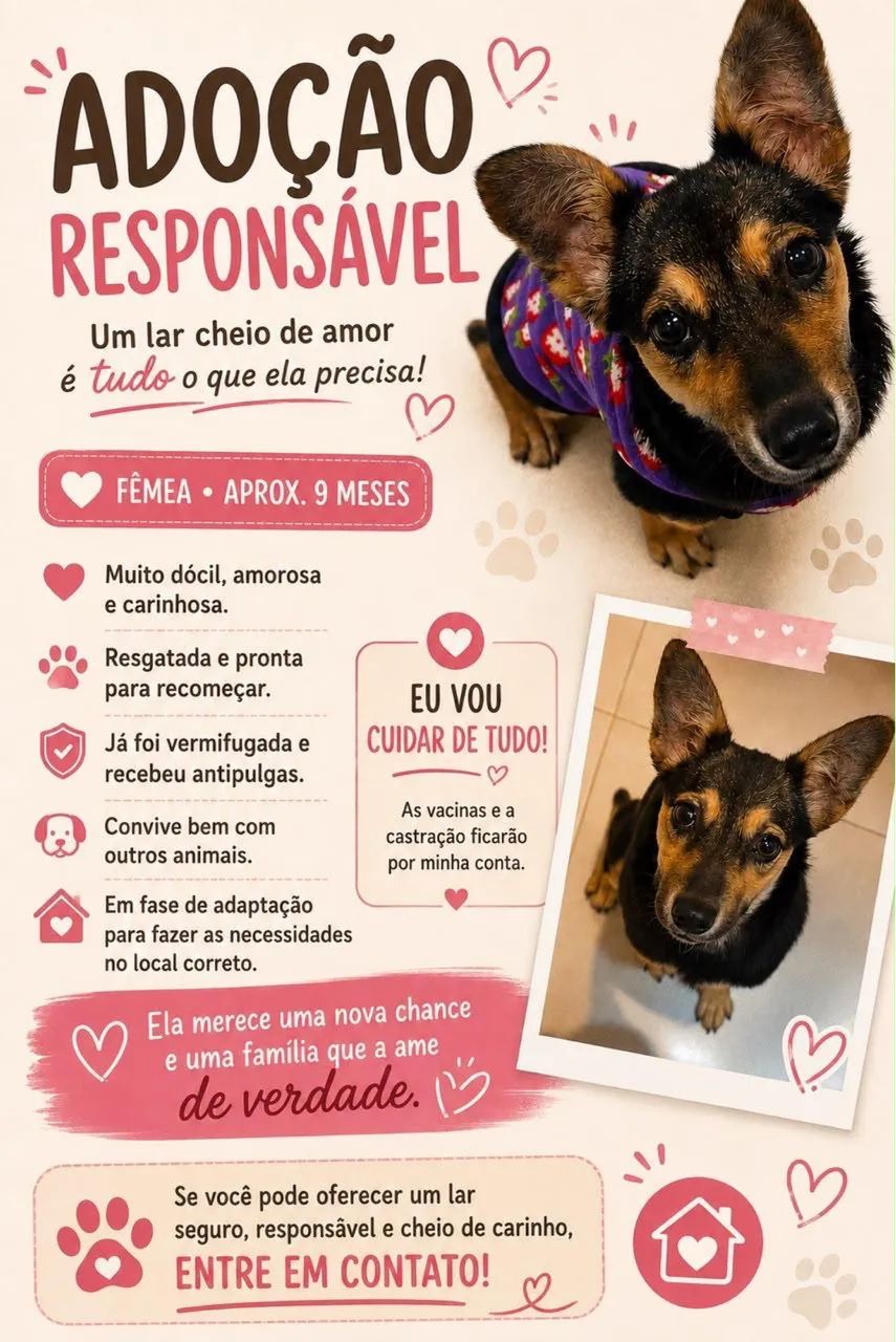 DOAÇÃO CACHORRA 