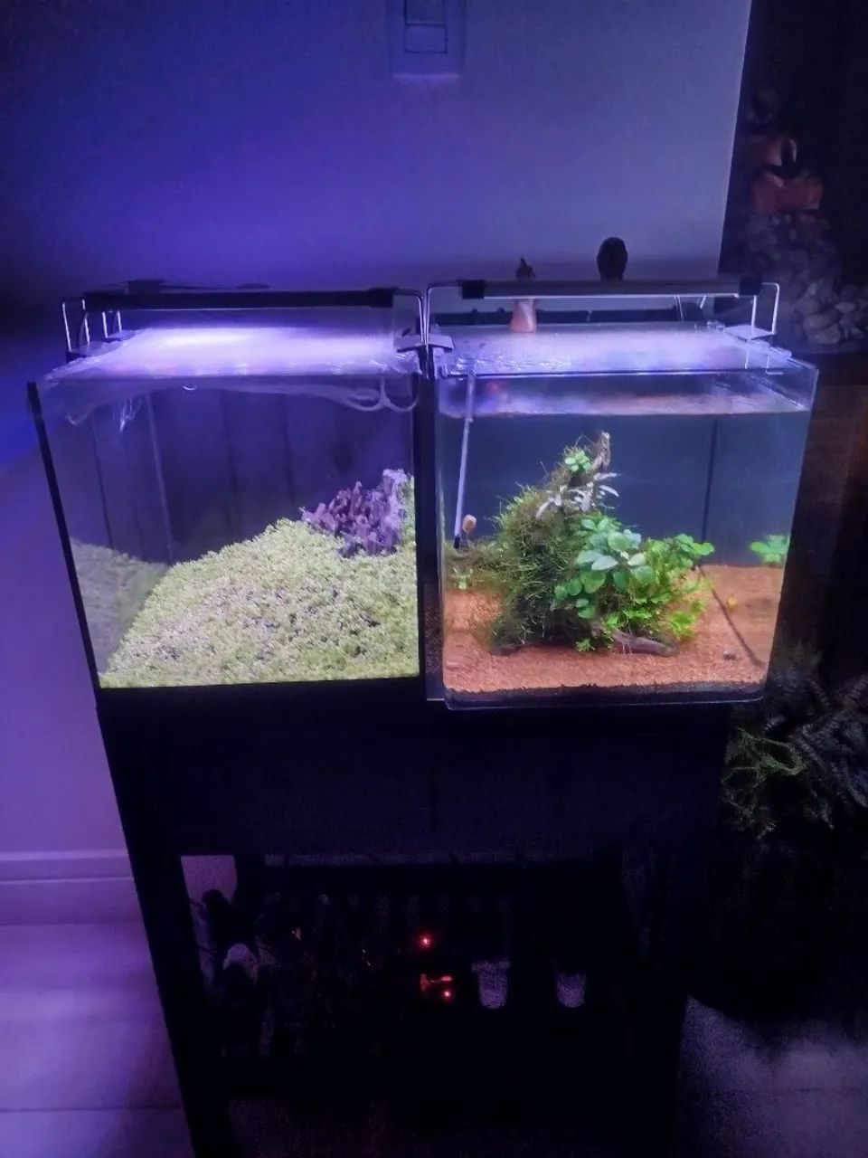 Aquários de 27 litros 