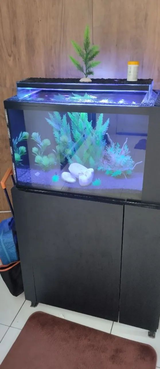 Aquário marinho / Doce com sump 85 litros 