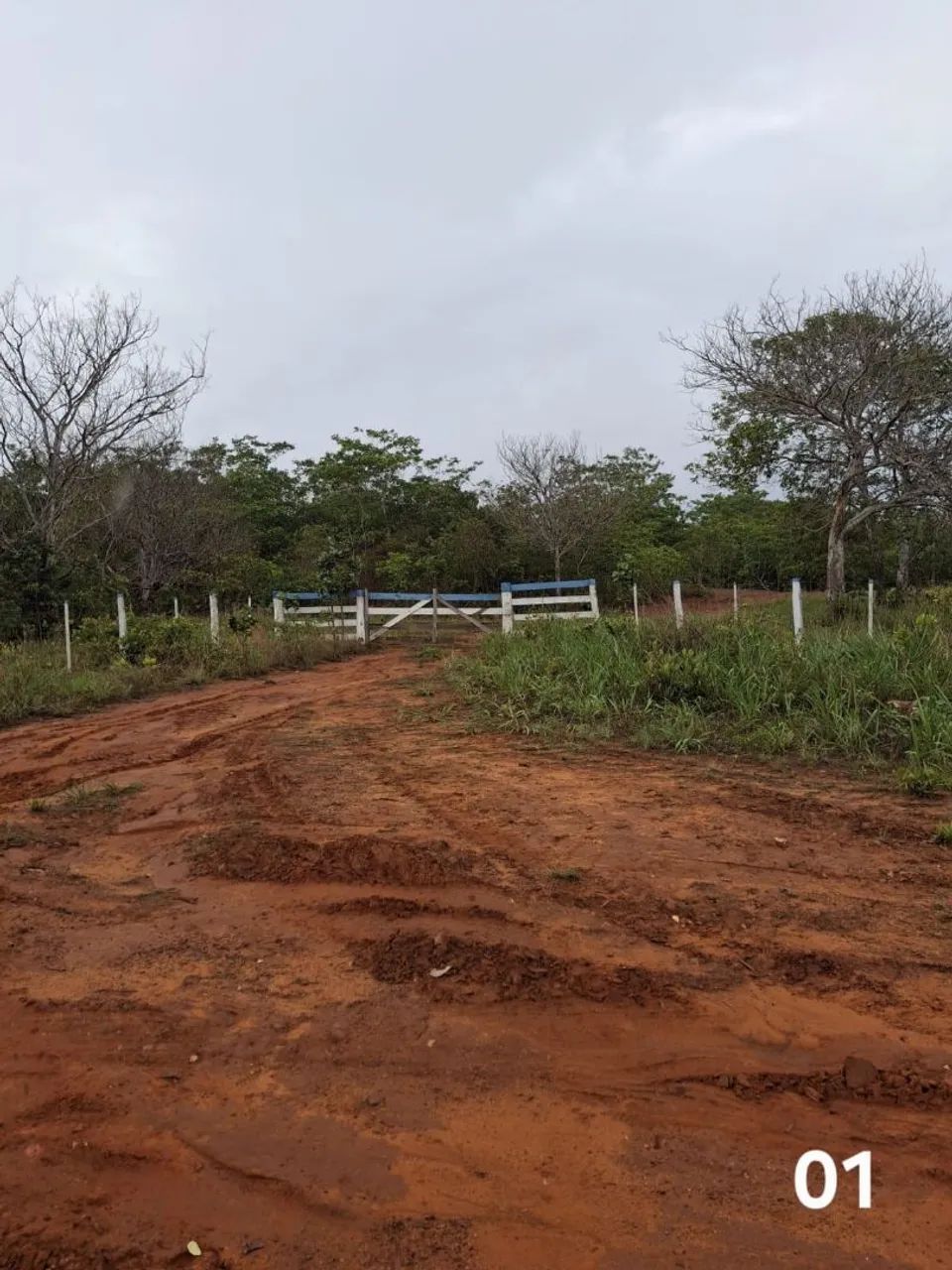 Área de 90 hectares em Tesouro-MT