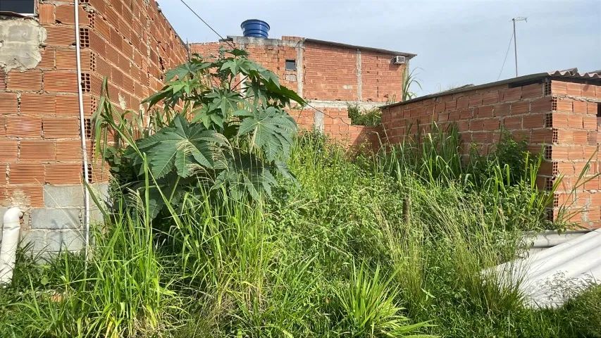 Retirada de Entulho, Móveis Velhos e Limpeza de Lotes - Foto 2