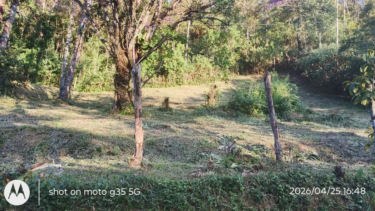 Terreno próximo Visconde de Mauá - Foto 5