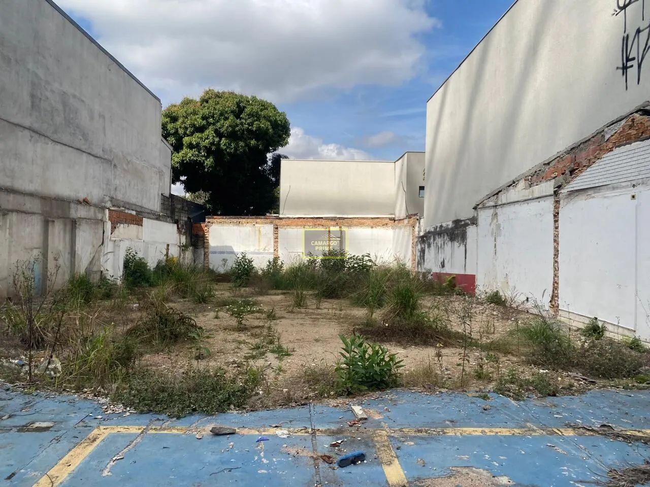 Terreno Para Locação Na Rebouças - Foto 3