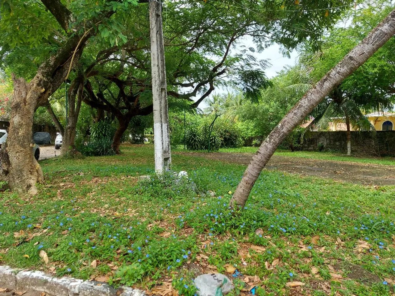 VENDO Terreno em condomínio fechado no Park 41 com 560M² no Pina - Recife - PE - Foto 6