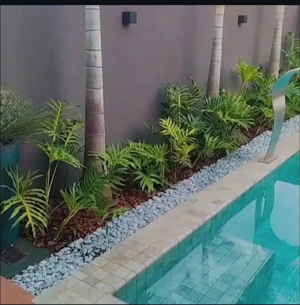 Jardinagem  - Foto 4