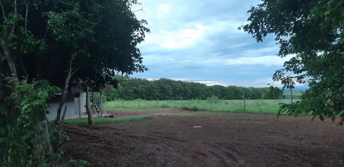 Terreno plano - Foto 4