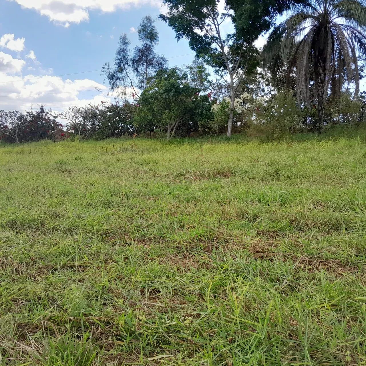 Terreno rural em mateus leme  - Foto 4