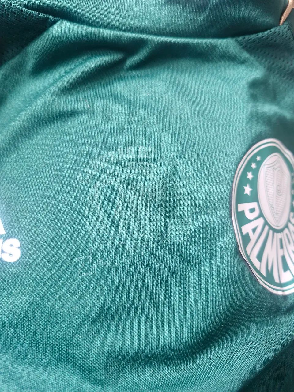 Conjunto Palmeiras infantil  - Foto 4