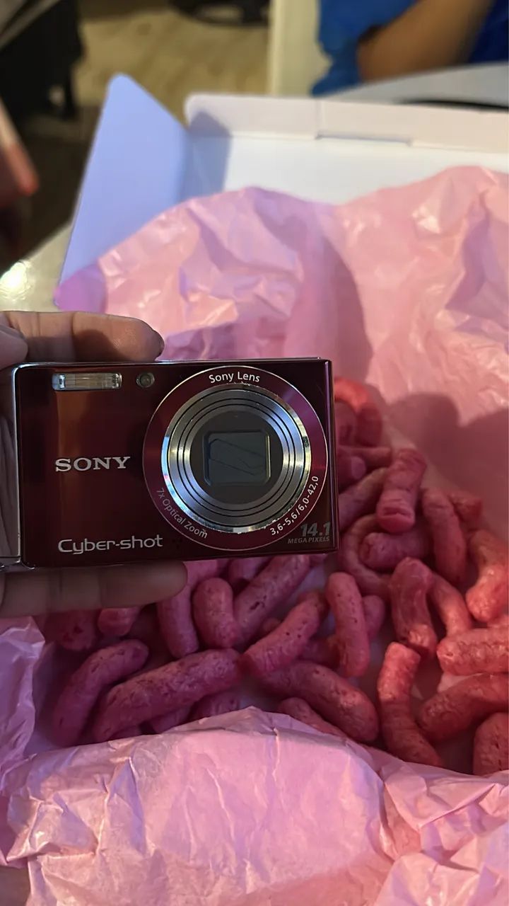 sony cybershot dsc-w370