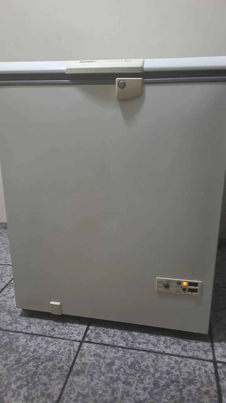 Frezzer Consul 220l