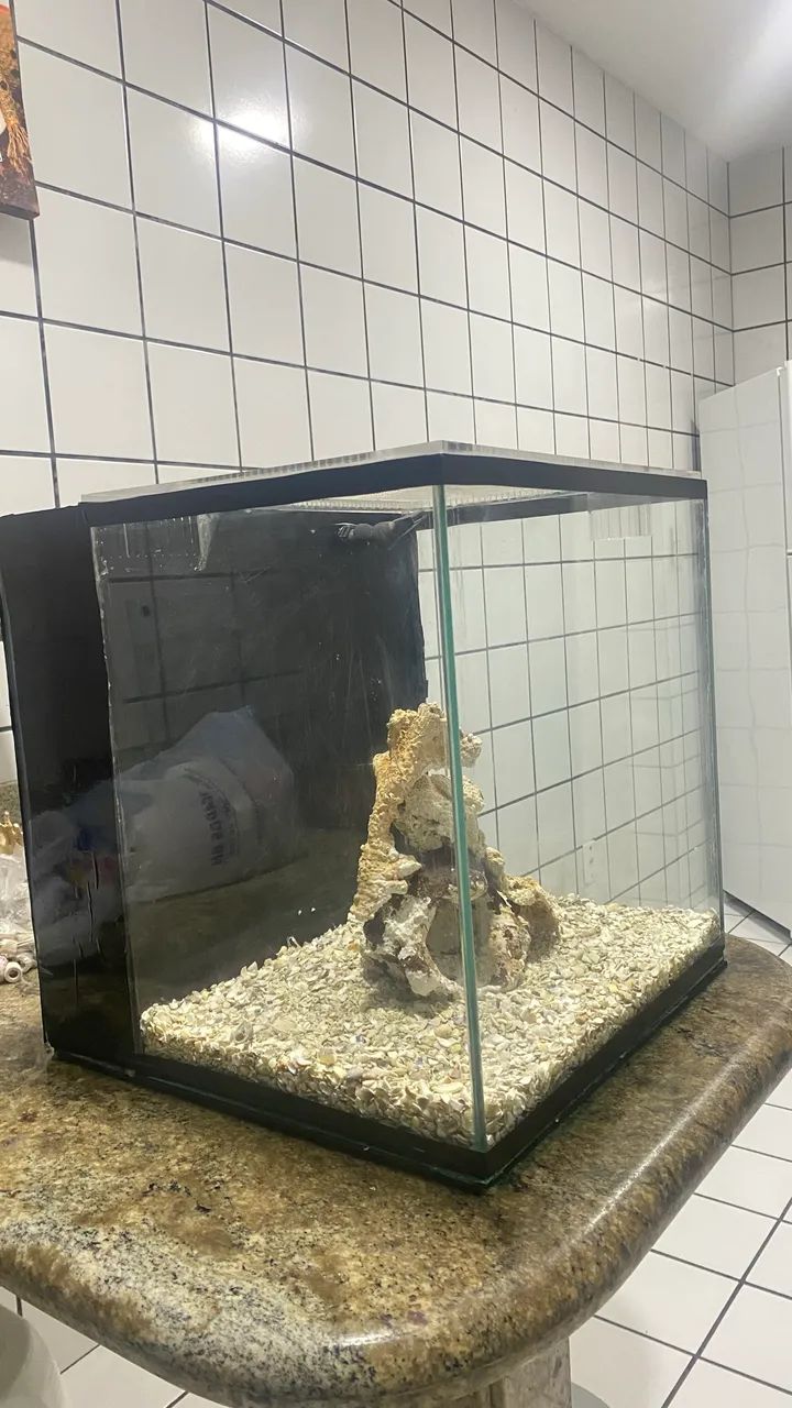 AQUÁRIO MARINHO 64 LITROS - Foto 5