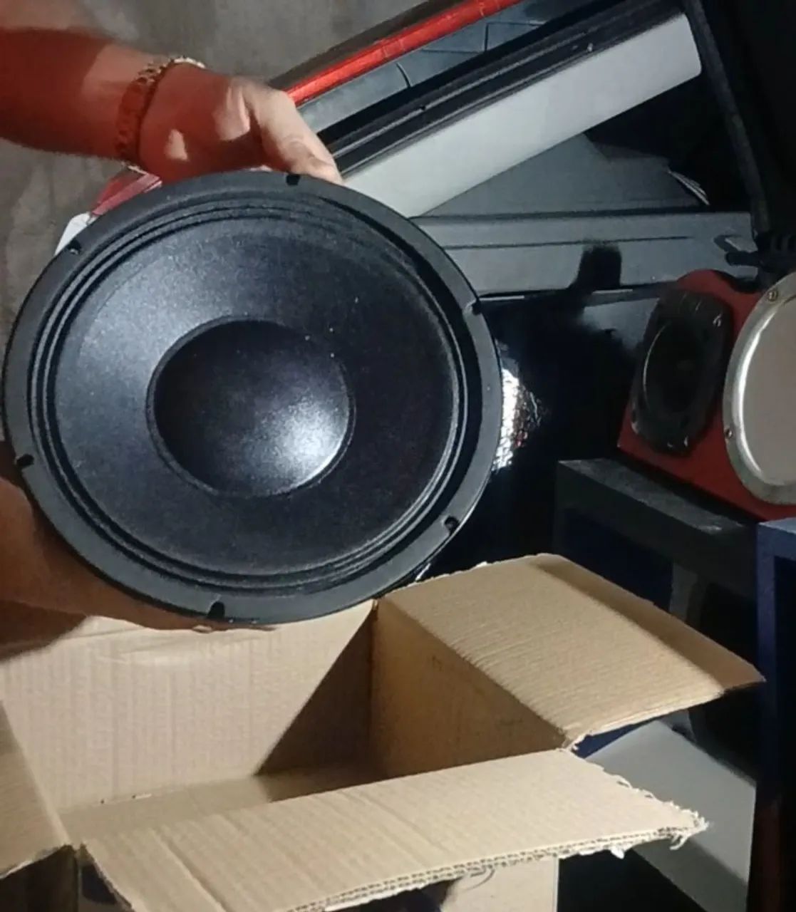 Medio grave de 10 polegadas 