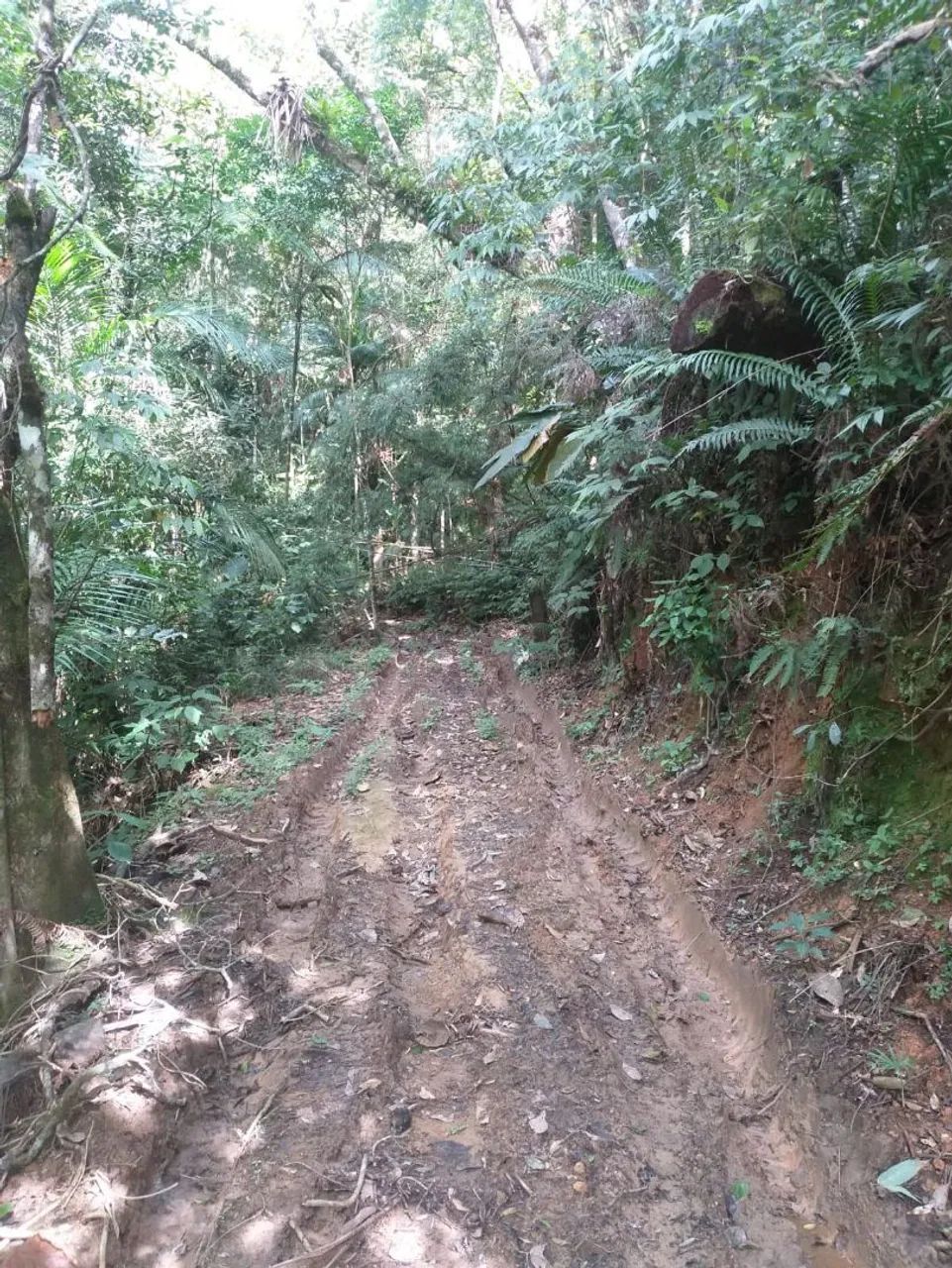 Terreno 60 mil cada  - Foto 4