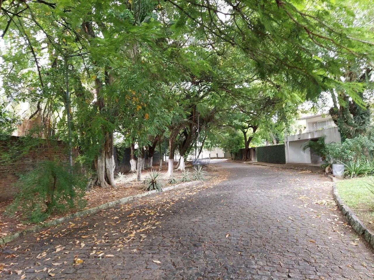 VENDO Terreno em condomínio fechado no Park 41 com 560M² no Pina - Recife - PE - Foto 9