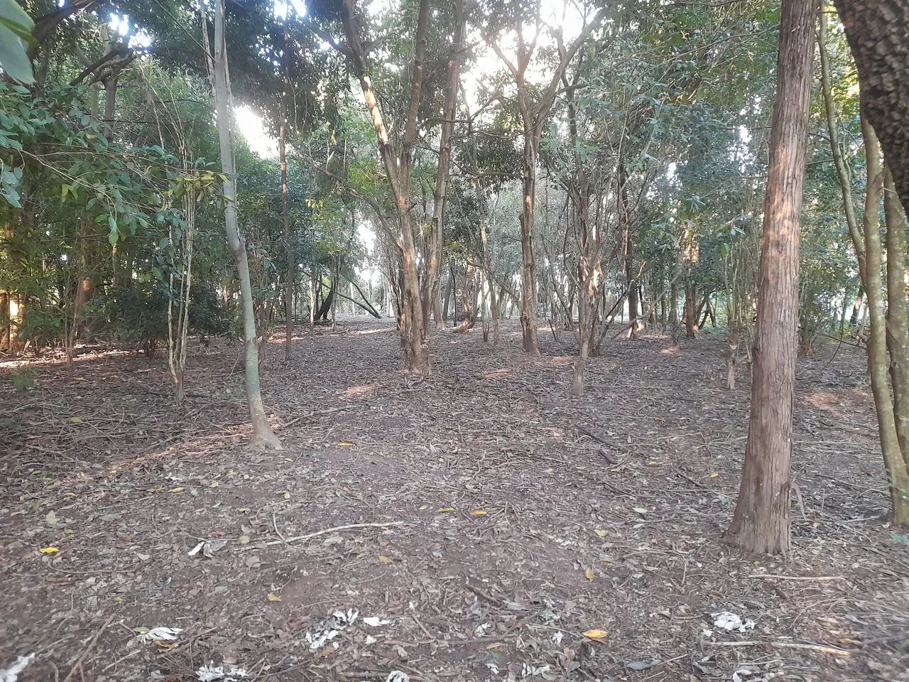 Terreno para rancho lagoa preta serra azul