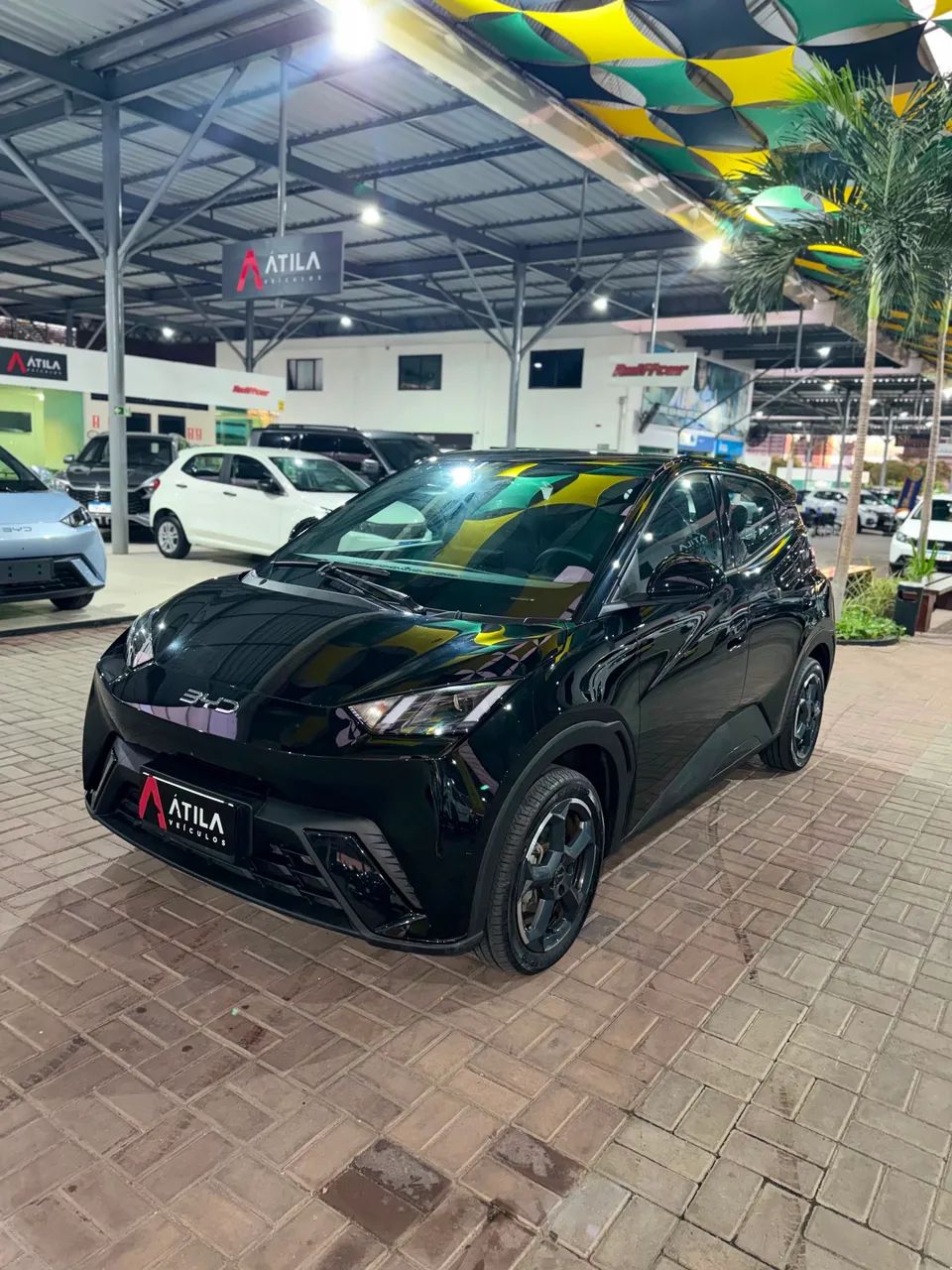 BYD Dolphin Mini (Elétrico) 2025 - Foto 2